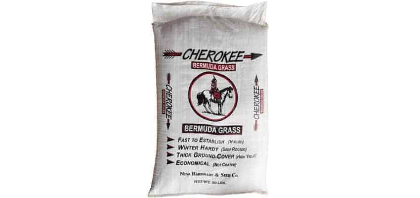 Cherokee Bermuda Grass Seed -