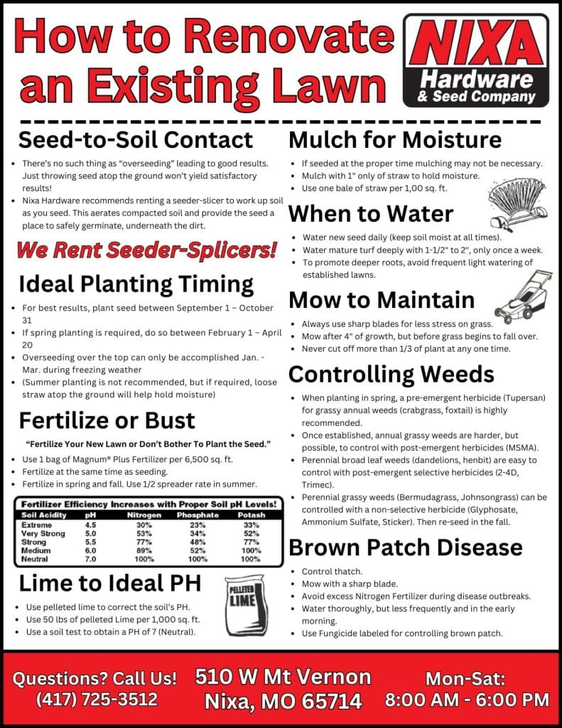 How to Renovate an Existing Lawn -