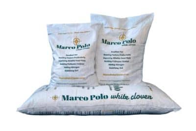 Marco Polo Large Leaf White Clover Seed in Bags
